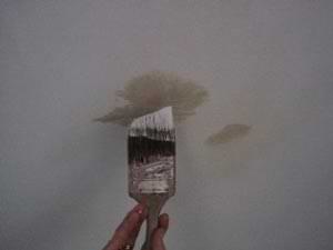 photo demonstrating how to touch up ceiling paint with a brush