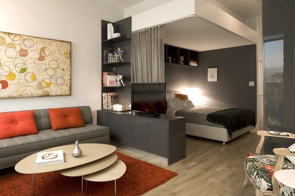 Разделение гостиной и спальни дает возможность в одной комнате не только отдыхать, но и принимать гостей