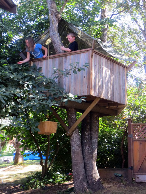 treehouse plans