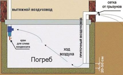 Схема устройства вентиляции в подвале