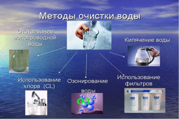 Лабораторная работа: Замораживание как один из способов очистки питьевой воды от примесей